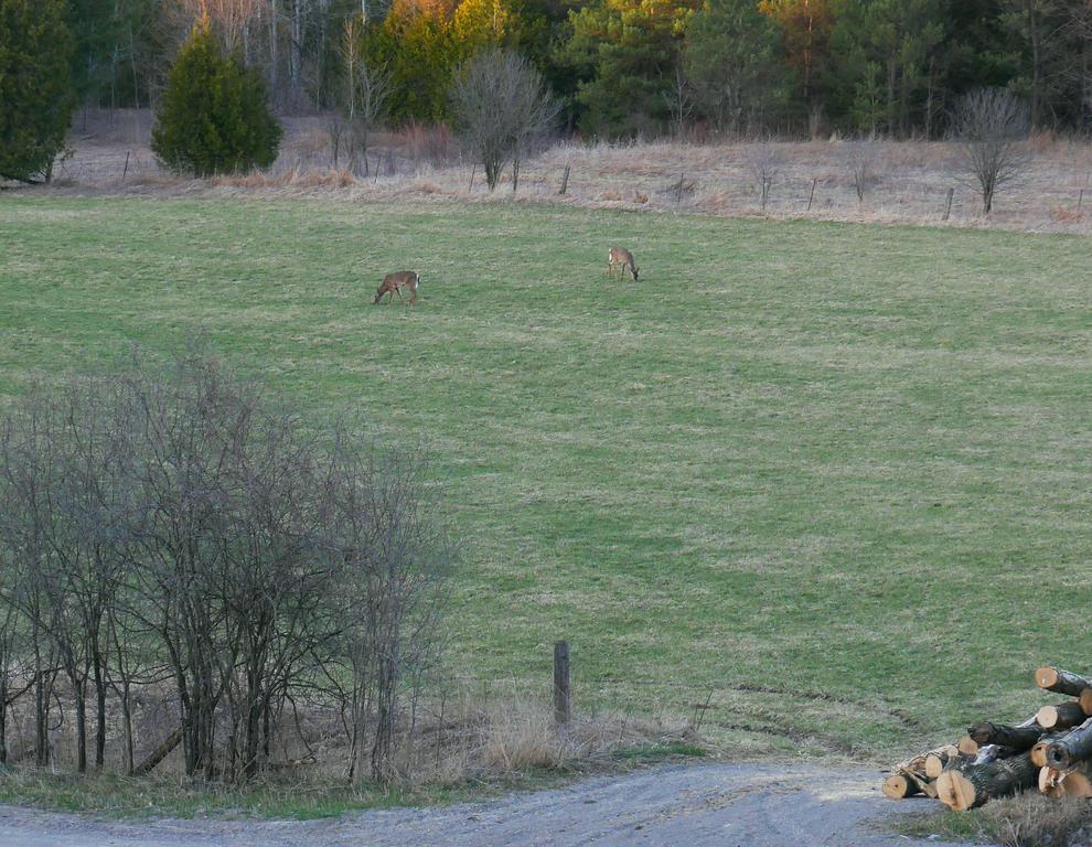 Our Valley View Bed & Breakfast Hampton Exteriör bild